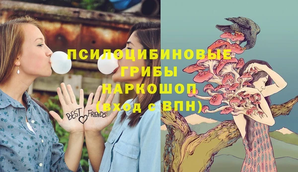 ECSTASY Сосновка