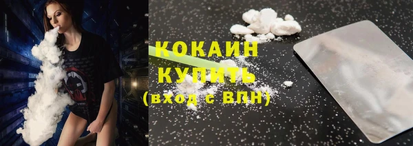гидра Сосновый Бор